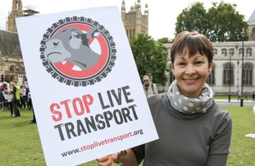 Caroline Lucas campaigning to Stop Live Transports at a demonstration in London, in September 2017.