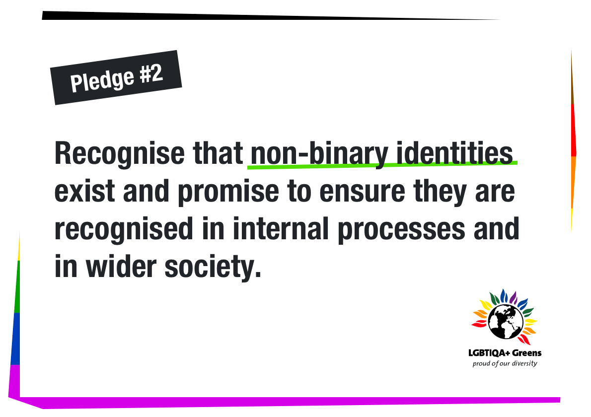 Recognise non binary identities are valid and promise to ensure they are recognised in internal processes and in wider society