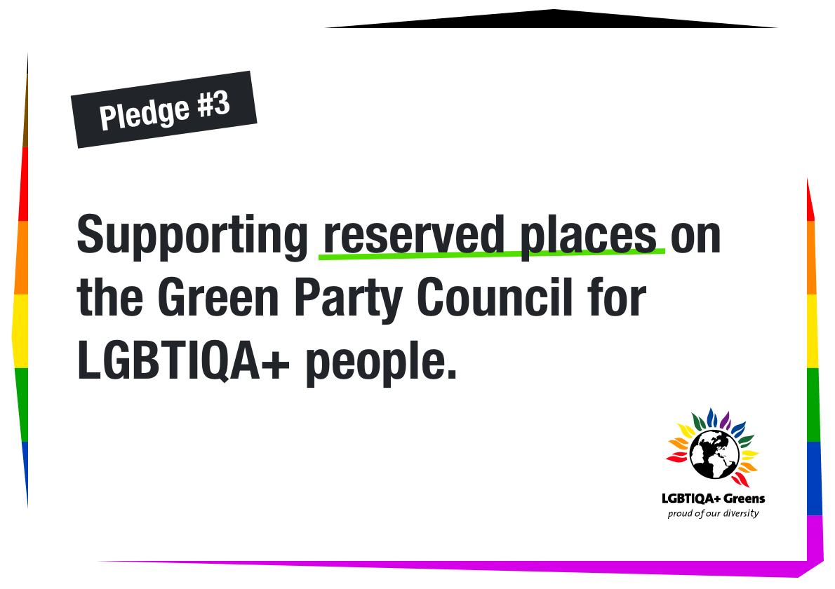 Supporting reserved places on the Green Party Council for LGBTIQA+ people