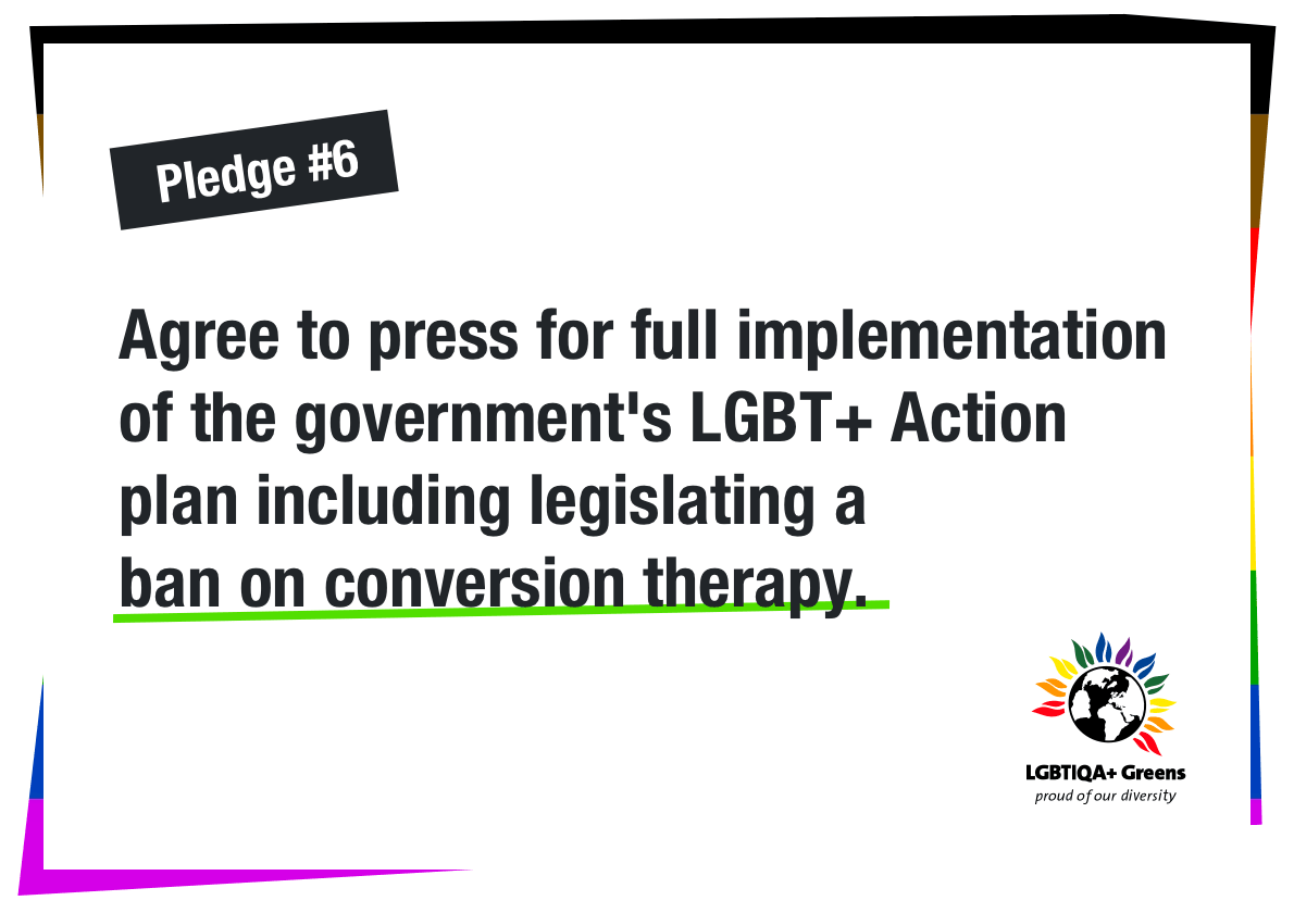 Agree to press for full implementation of the government's LGBT+ Action plan including legislating a ban on conversion therapy