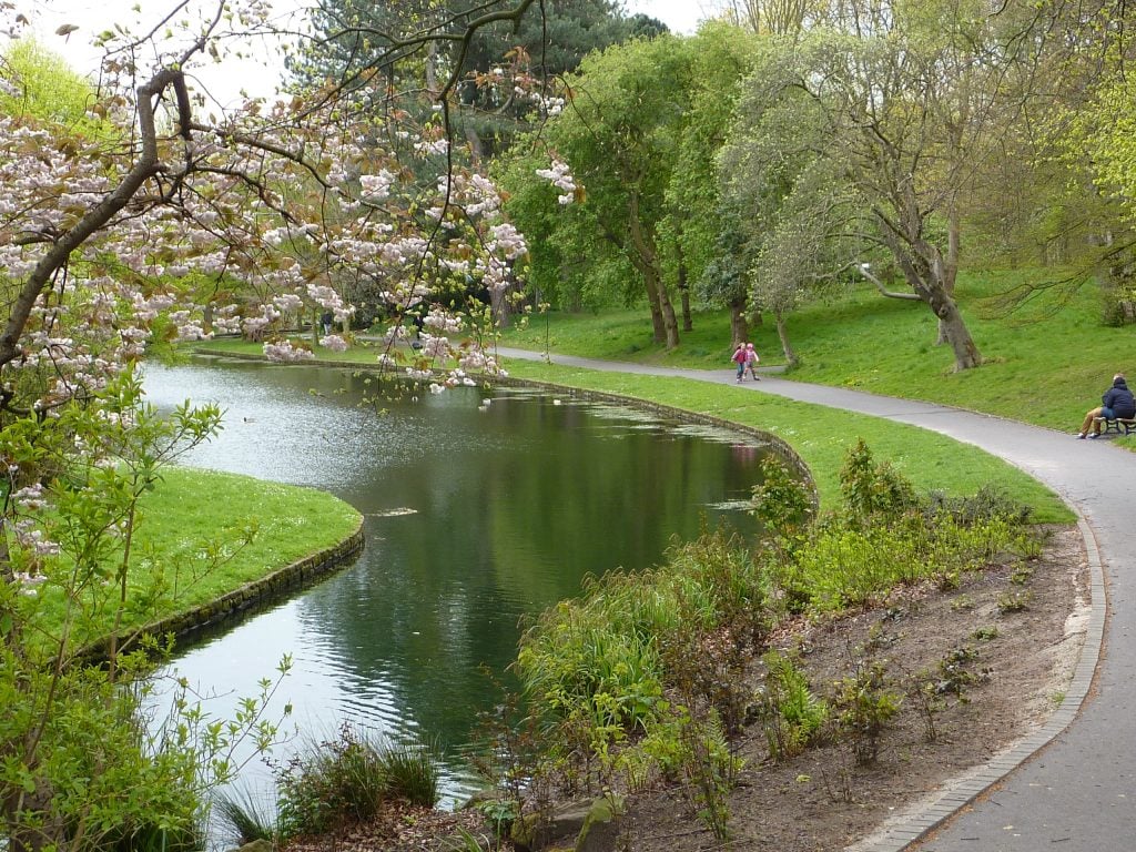 Picture of Sefton Park