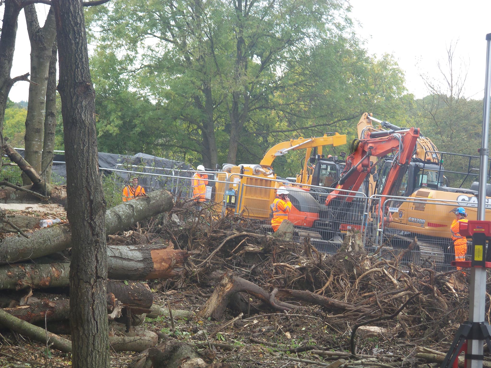 Contractor's vehicles clearing trees